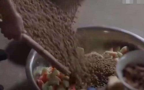 娱乐吃瓜酱花瓶视频下载,揭秘热门花瓶背后的精彩瞬间