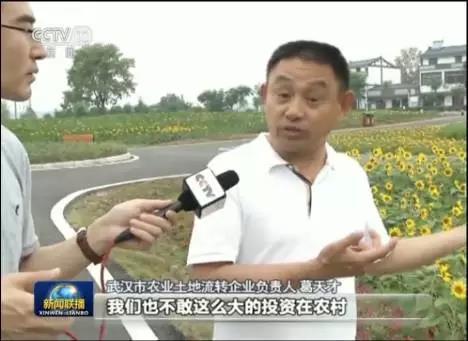 娱乐圈吃瓜新闻播报,吃瓜新闻盘点