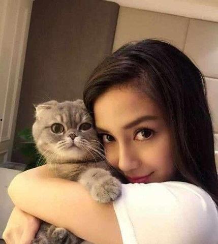 娱乐圈猫猫吃瓜图片,萌态十足揭秘明星幕后趣闻