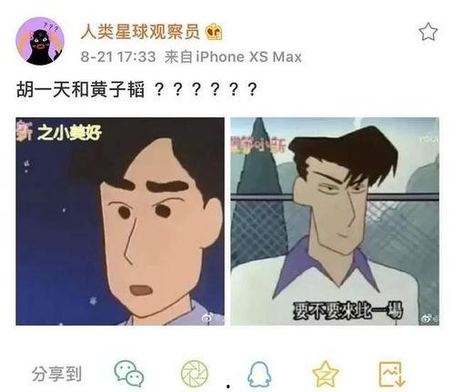 娱乐吃瓜酱说话的艺术,娱乐圈中的说话艺术解析