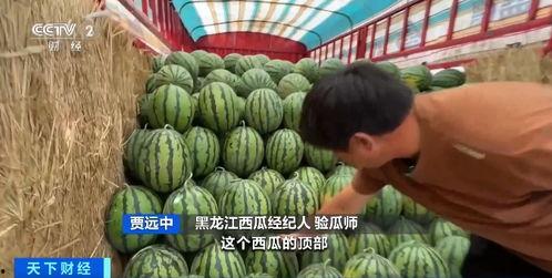 娱乐吃瓜酱紫金玫瑰,平阴县非遗文化瑰宝，传承与创新共谱美食新篇”