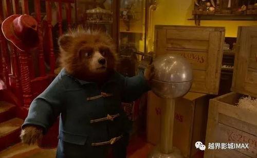 娱乐圈吃瓜熊婶,揭秘熊婶的吃瓜传奇