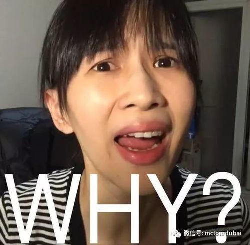 娱乐吃瓜酱男生说嗯,吃瓜酱男生与嗯的神秘对话