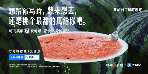 娱乐吃瓜文案怎么弄,跟随吃瓜群众，探寻明星幕后故事