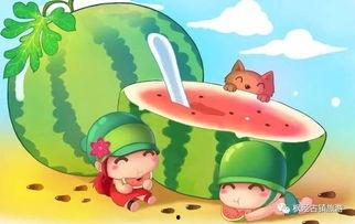 娱乐吃瓜君和罗小猫,揭秘网红圈层八卦风云