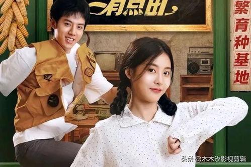 娱乐圈吃瓜短剧小说,吃瓜短剧小说里的秘密世界