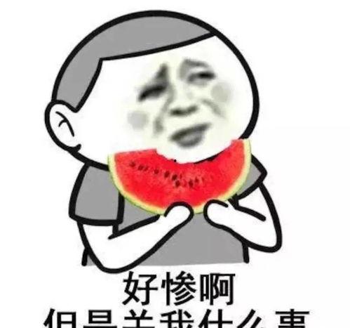 娱乐吃瓜君五条喵,揭秘娱乐圈五大热门事件背后的真相