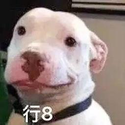 微信娱乐圈吃瓜,最新吃瓜大事件！