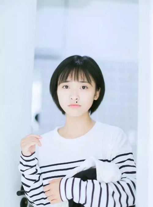 娱乐吃瓜酱小个子,揭秘娱乐圈中的“矮脚虎”