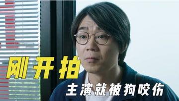 娱乐吃瓜君排行榜,揭秘娱乐圈最新热点与热门事件