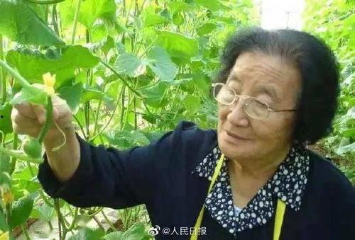 娱乐吃瓜酱夏天开空调,娱乐吃瓜酱教你如何开空调吃瓜两不误