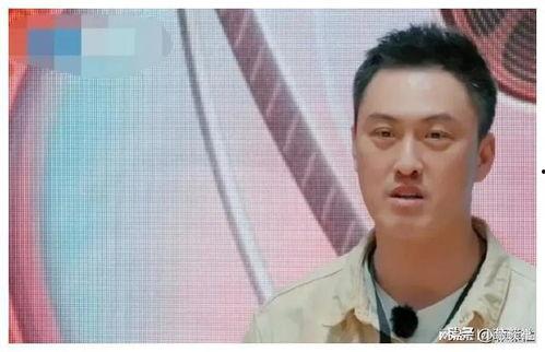 娱乐圈吃瓜爆料故事,揭秘明星背后的惊人真相