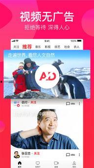 吃瓜娱乐精选视频下载免费,轻松追剧无压力！