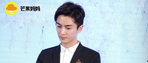 娱乐圈吃瓜陈晓,揭秘明星背后的真相